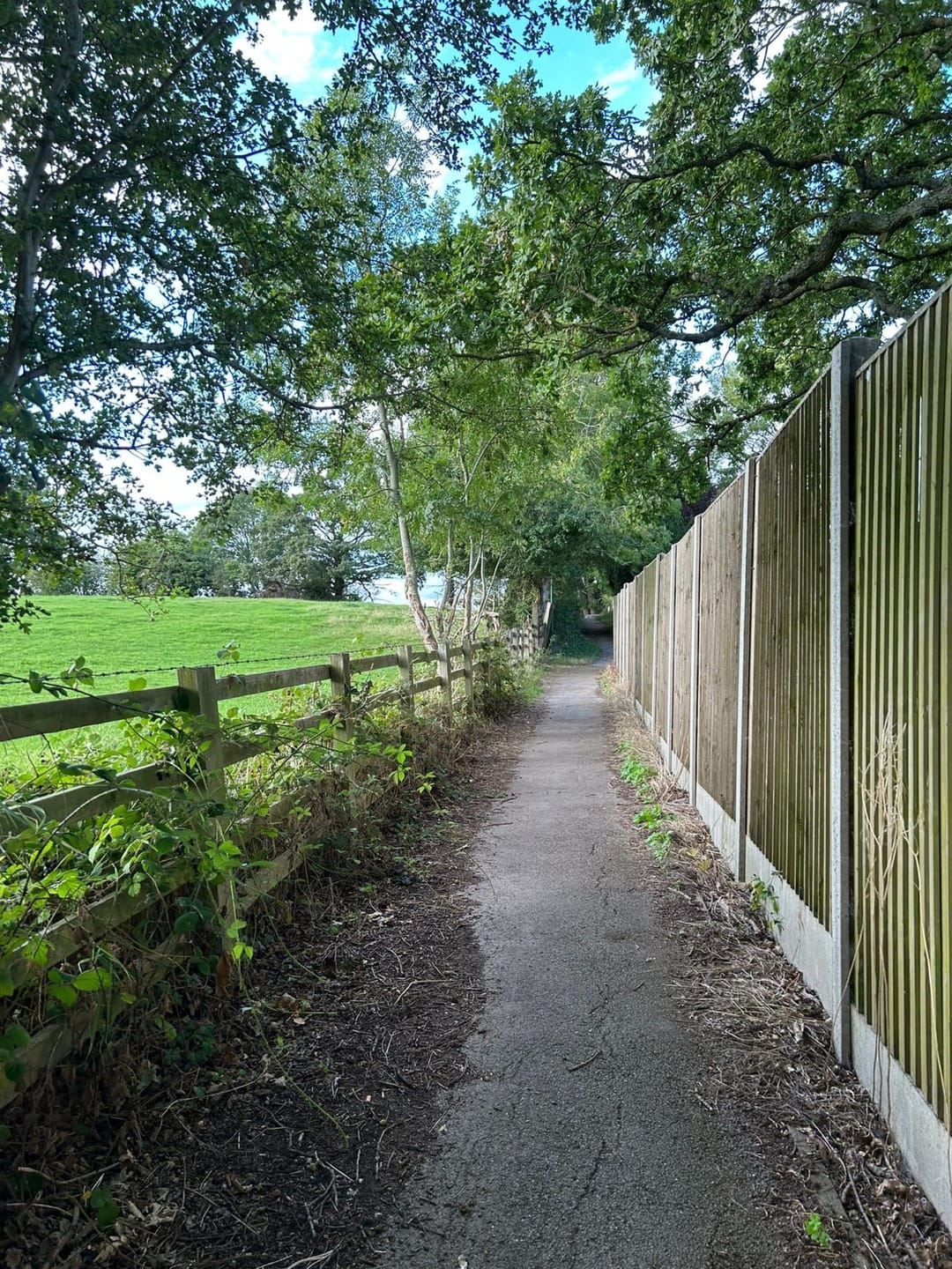 Wolf Lane Bridleway - image 1