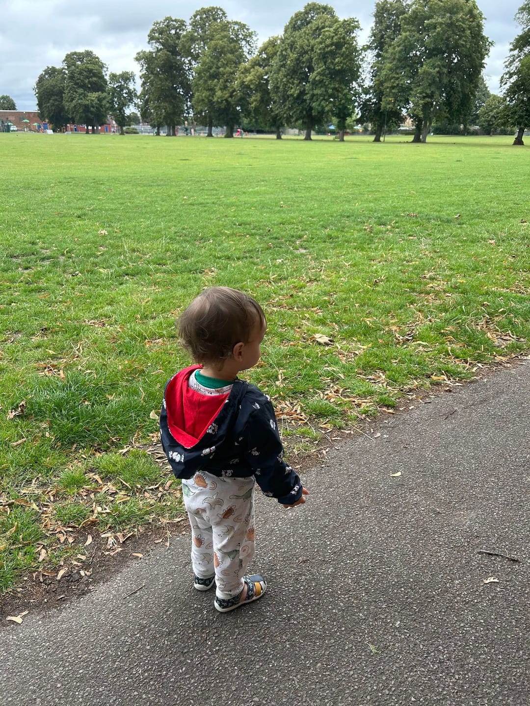 Old Windsor Recreation Ground - image 1