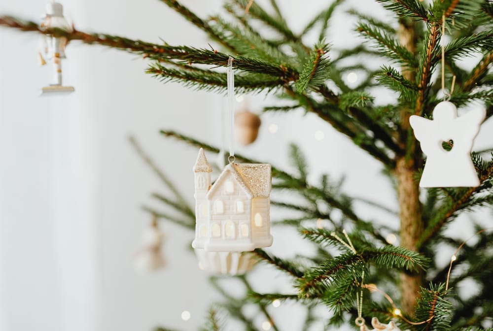 Where to buy your Christmas Tree in Berkshire