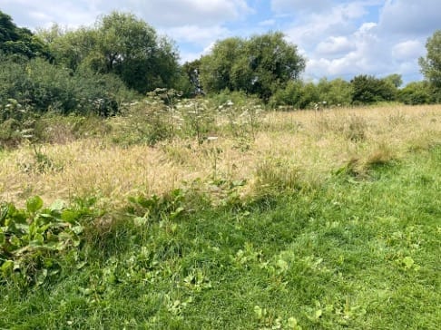 Sutherland Grange Park - image 1