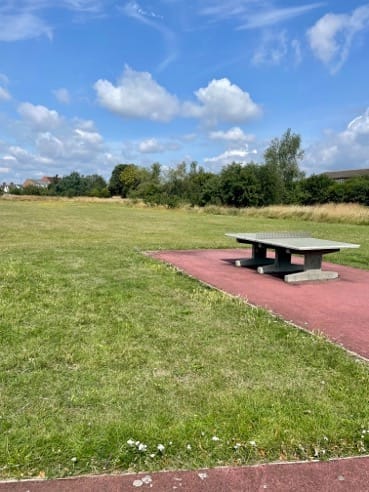 Vansittart Recreation Ground - image 3