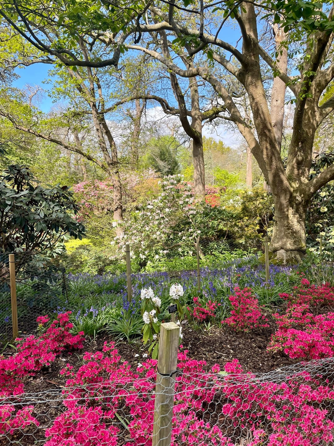 Valley Gardens - image 1