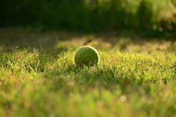 Tennis Court Hire