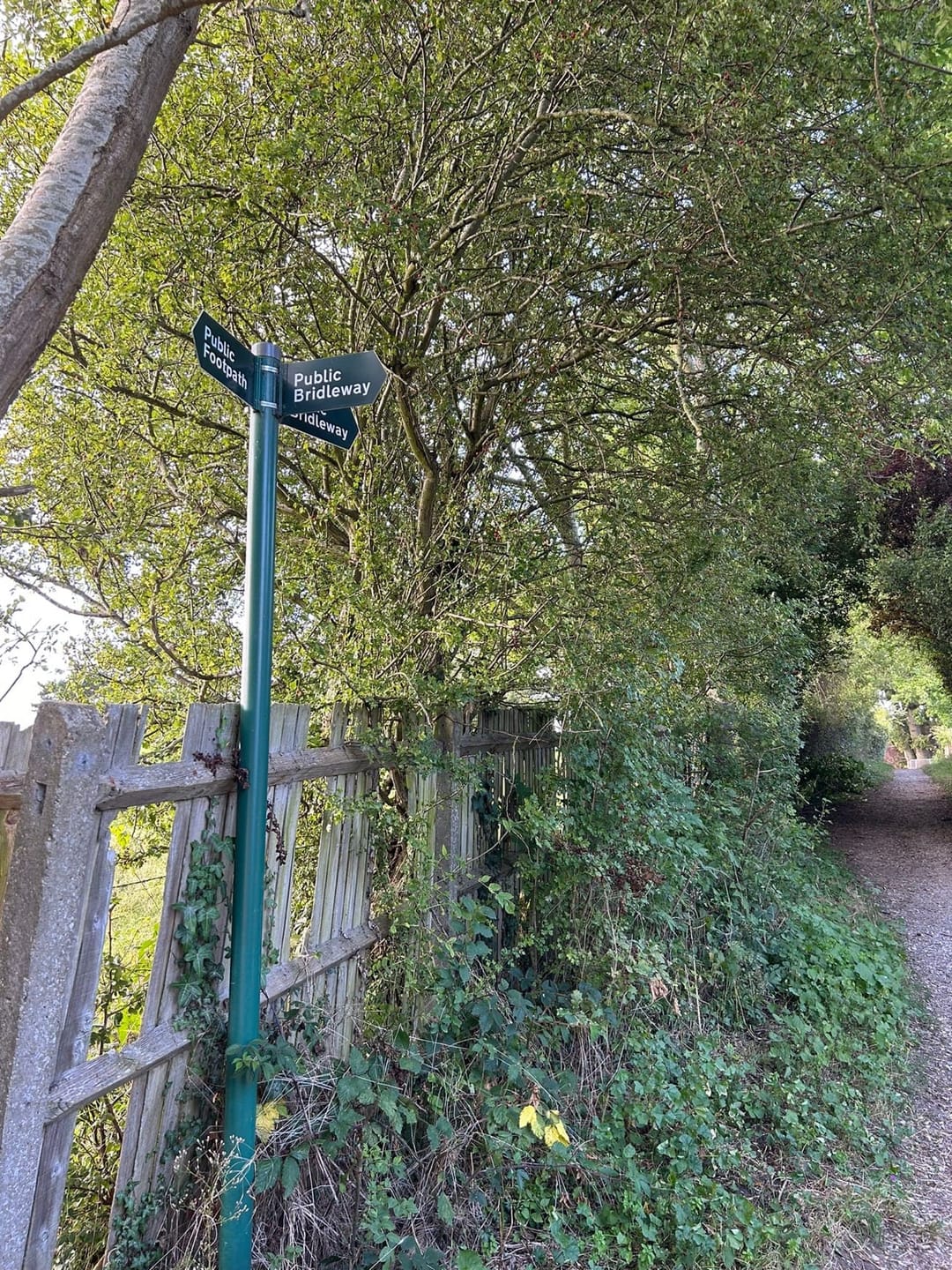 Wolf Lane Bridleway - image 2