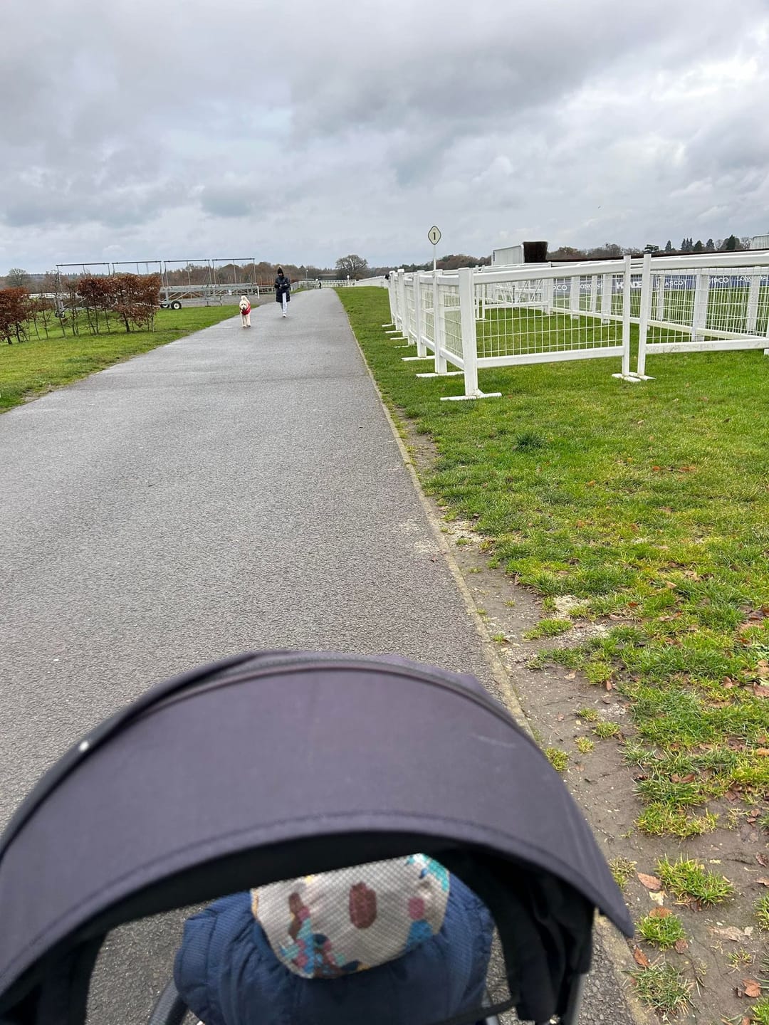 Ascot Heath at Ascot Racecourse - image 2