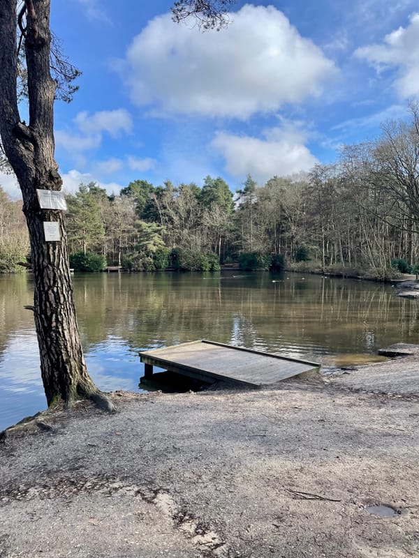 Lightwater Country Park