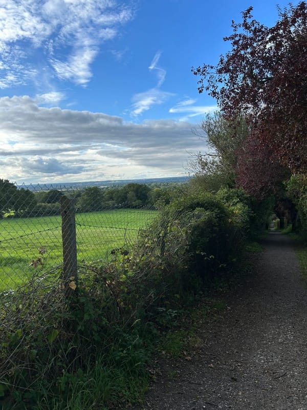 Wolf Lane Bridleway