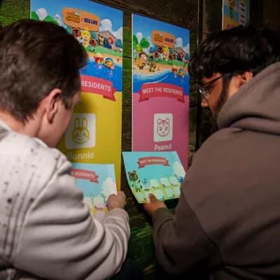 Animal Crossing: New Horizons - image 1